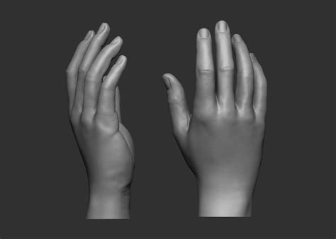 Female hand pose 1 3D model 3D printable | CGTrader