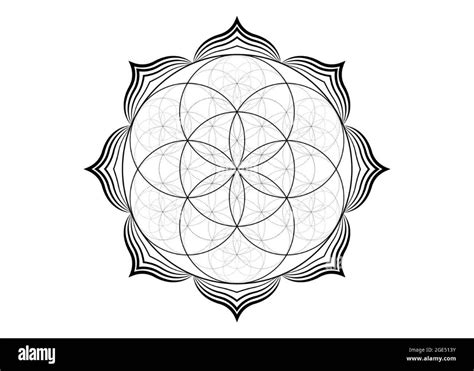 Seed Flower Of Life Lotus Icon Yantra Mandala Sacred Geometry Tattoo