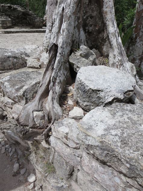 Prayer When Someone Is Lying about You - Prayer Ideas