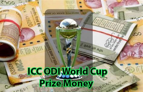 Icc World Cup Prize Money Runner Up And Others Take Home From Odi