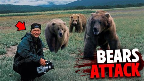 Grizzly Bears Eat Timothy Treadwell And Girlfriend Alive On Camera