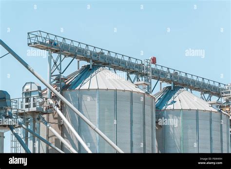 Silo Agr Cola El Edificio Exterior Almacenaje Y Secado De Granos