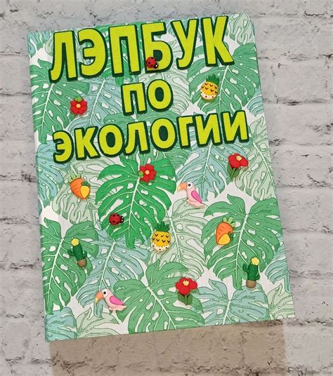 Лэпбук по экологии в интернет-магазине Ярмарка Мастеров по цене 6100 ...