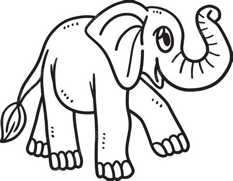 Dibujo De Bebé Elefante Para Colorear Esbozo Vector Png Dibujos Dibujo