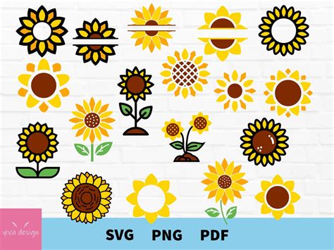 Sunflower Svg Sunflowers Svg Sunflower Bundle Svg Split Sunflower Svg Sunflower Monogram Svg