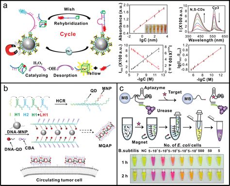 Engineering Magnetic Nanomaterials With Nucleic Acids For Biosensing