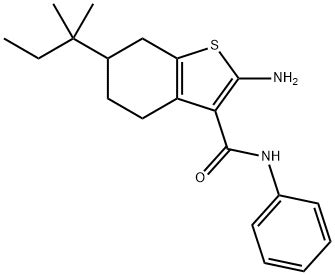 Cas Amino Dimethylpropyl N Phenyl