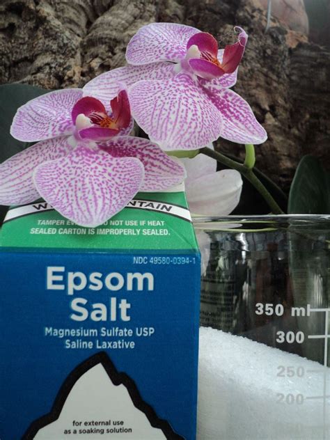 Orchids Epsom Salt Can Heal Aches And Pains And Fertilize Your Plants Epsom