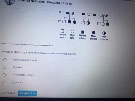 Preguntas Filtradas Examen De Ingreso A Las Universidades Pilotaje