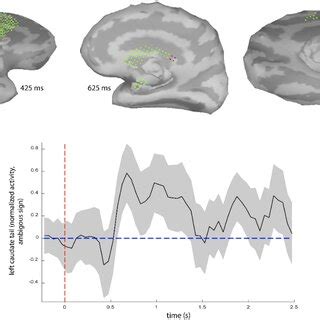 Value Erp And The Eeg Informed Fmri Analysis A The Group Average