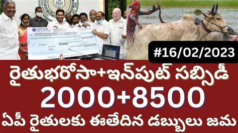 ఏపీ రైతు భరోసా 2000 రైతులకు ఈ తేదిన జమ Ap Rythu Bharosa Input Subsidy