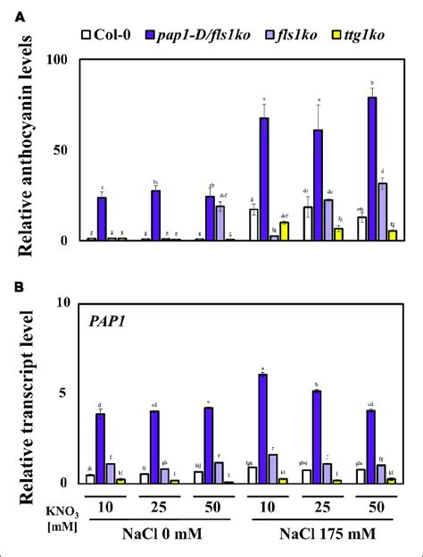 Anthocyanin Contents And Related Gene Transcript Levels In Plants