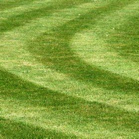 Lawn Striping: How to Make Lawn Mowing Patterns by Troy-Bilt | Lawn ...