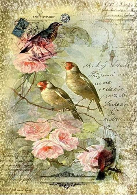 Two Birds Sitting On Top Of Pink Flowers With Words In The Background