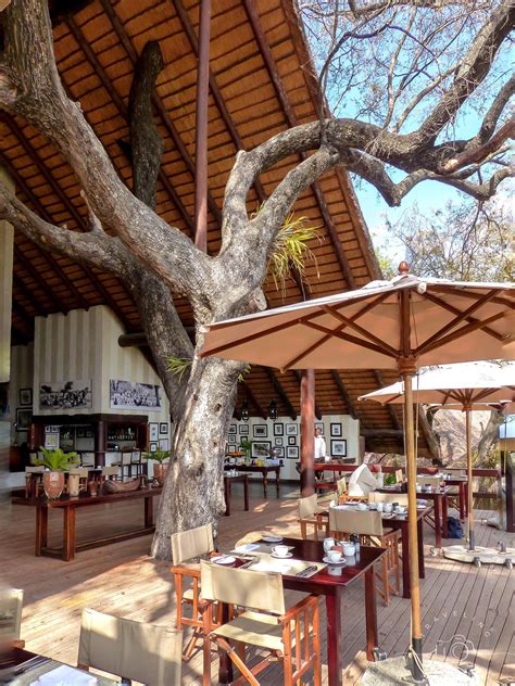 Guide To The Best Luxury African Safari Camps Traveling Tulls Safari Lodge Interior Luxury