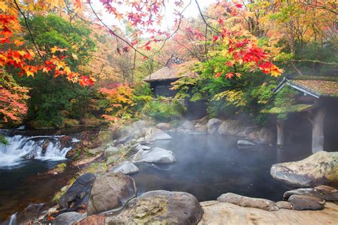 露天風呂から紅葉が見える宿（西日本編） 一休コンシェルジュ