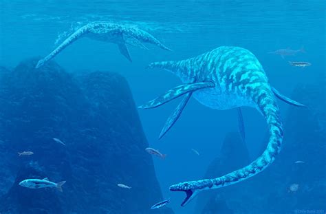 Elasmosaurus Marine Reptiles Photograph By Chris Butler