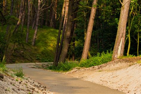 Ścieżki rowerowe nad morzem Hotel White Krynica Morska noclegi nad