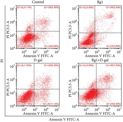 Effects Of Ginsenoside Rg On The Apoptosis Of Had Mscs A The