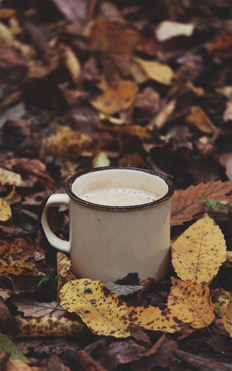 Mug Coffee Leaves Drink HD Phone Wallpaper Peakpx