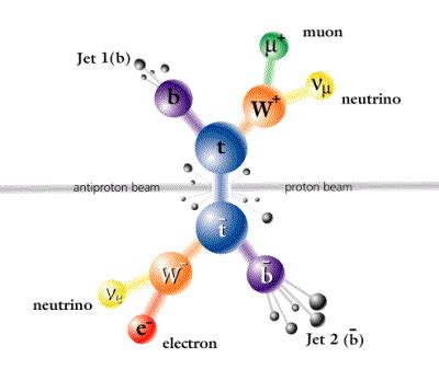 The Top Quark