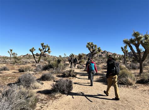 Joshua Tree National Park | Wilderness Volunteers