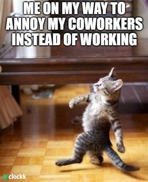 Cool Cat Stroll Meme Work Office Timesheets Freelancer Age Flickr