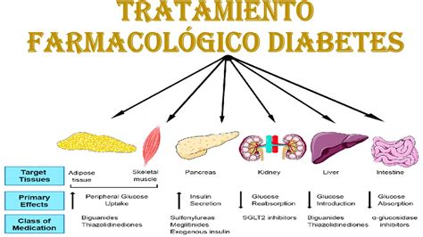 FARMACOLOGÍA TRATAMIENTO DE LA DIABETES YouTube