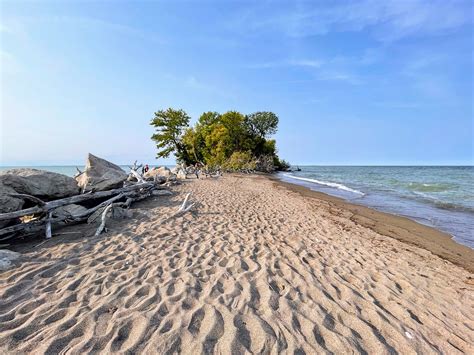 Driftwood Sand Beach Free Photo On Pixabay Pixabay