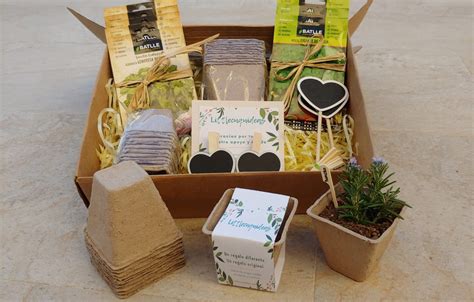 Kit plantas aromáticas Regalo original cultivar tus propias plantas