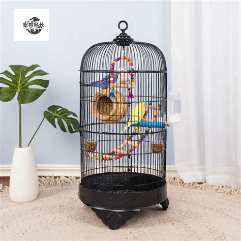 Macaw Cages For Sale Cheap Atelier Yuwa Ciao Jp