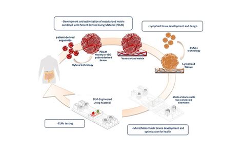 Project MITI2 BEOnChip Biomimetic Environment On Chip