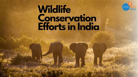 Wildlife Conservation Efforts in India | Josh Talks