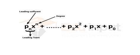 What Does Coefficient Mean In Math