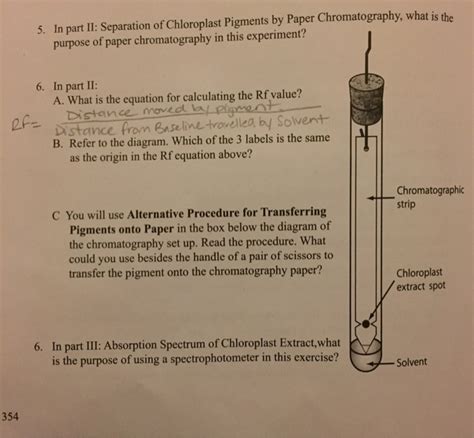 Solved Separation of Chloroplast Pigments by Paper | Chegg.com