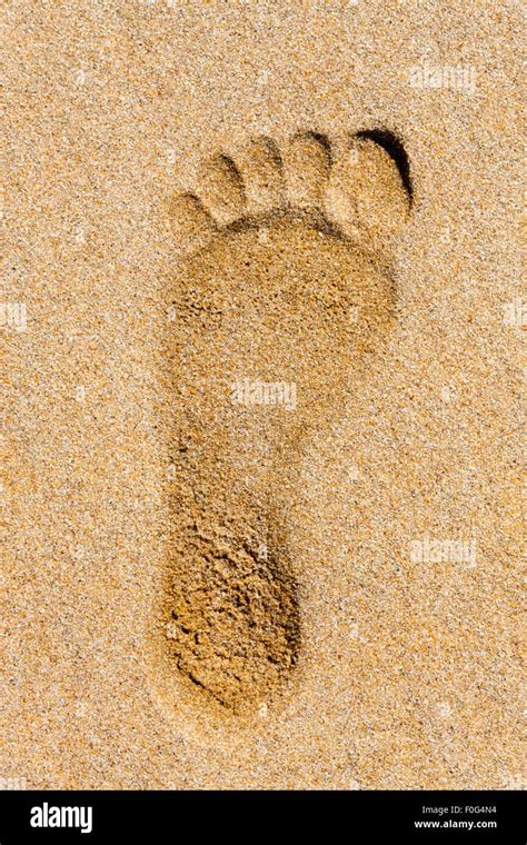 One Footprint Hi Res Stock Photography And Images Alamy