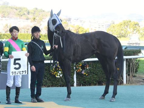 【メイクデビュー阪神4rレース後コメント】タガノヒナタ松山弘平騎手ら 競馬ニュース Netkeiba