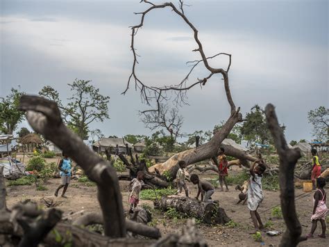 Mozambique Is Racing To Adapt To Climate Change The Weather Is Winning