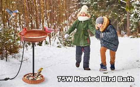 Gesail Heated Bird Bath W Thermostatically Controlled Lightweight