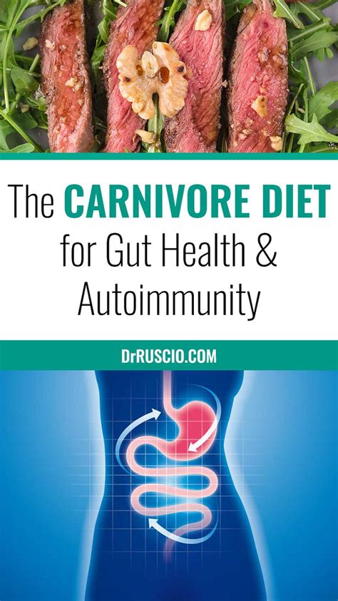 The Carnivore Diet For Gut Health And Autoimmunity Carnivores Diet Health