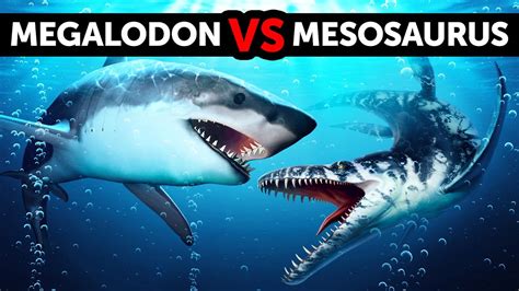 Megalodon Versus Mosasaurus si Dino Laut Raksasa, Mana yang Lebih Jagoan?