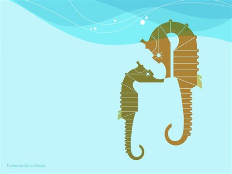 Seahorse Wallpapers Wallpaper Cave