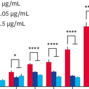 Growth of tumor/stromal hybrid spheroid model under anti-cancer drug... | Download Scientific ...