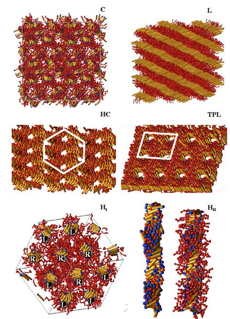 Figure 2 From Self Assembly Of Polymer Tethered Nanorods Semantic