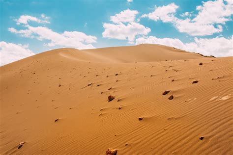 Fotos gratis paisaje arena árido Desierto duna seco pradera