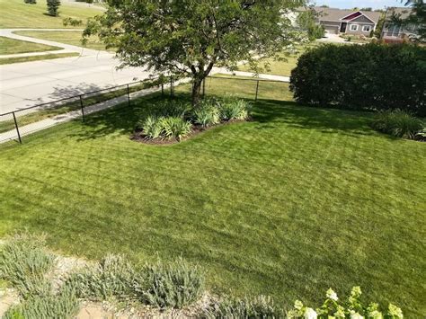 Different colors of grass - Help a newbie | Lawn Care Forum