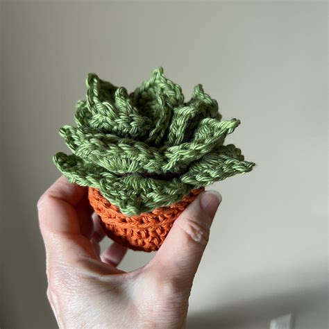 Succulent Crochet Coaster Pattern