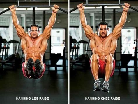 Vertical Leg Raise Bodybuilding Wizard