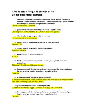 Actividad Cuidado Del Cuerpo Humano Activida D Parte Manera