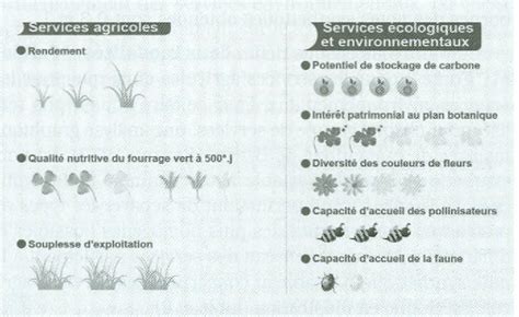 Figure From Services Cosyst Miques Rendus Par Les Prairies Dans Une